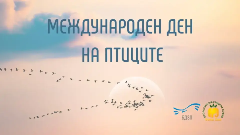 Първият уикенд на април: избори и идеи за свободното време