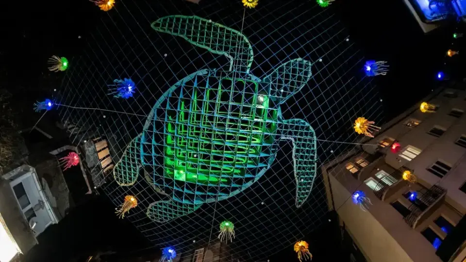 Гигантска костенурка, медузи и октопод се появиха над Малките пет кьошета