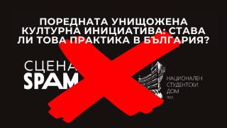 София посреща първата международна изложба на котки този уикенд