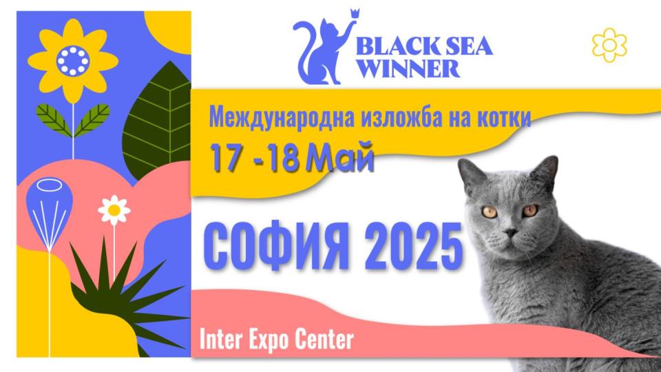 София посреща първата международна изложба на котки този уикенд