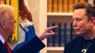 Вещи от дома и филмите на Дейвид Линч излизат на търг
