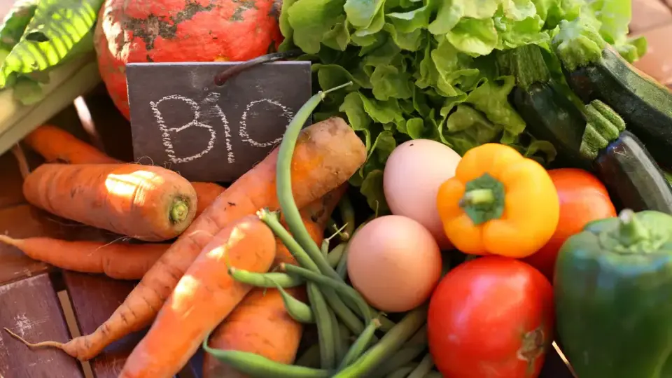 Продукти с етикет ,,био‘‘: здравословен избор или умел маркетинг подход?