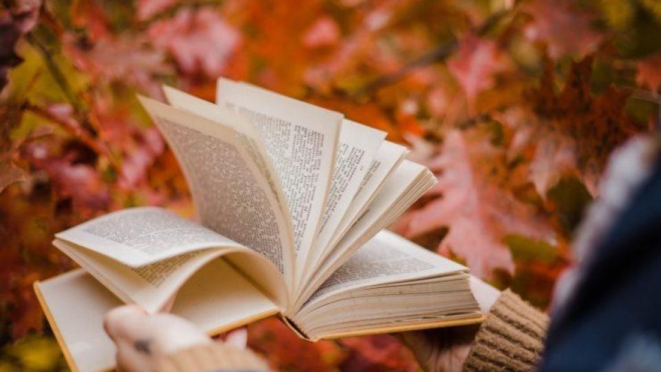 Най-добрите книги за есента: Какво да четем в уютните септемврийски вечери?