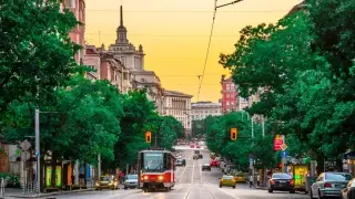 Теди Москов поставя „Муха в главата“ в Пазарджик