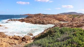 Министър Бачев за случая „Росен Белов”: Няма скандал в културата, ситуацията се преекспонира