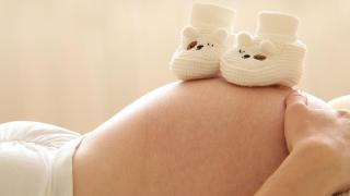 Започна обратното броене до Plovdiv Jazz Fest: Кой ще се качи на сцената?