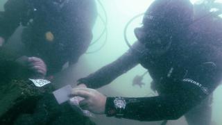 Последната корица на Vogue с Тимъти Шаламе предизвика негативни реакции