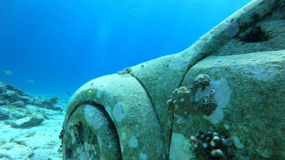 Скулптури връщат коралите в рифовете на Маями