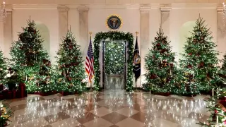 „Франкенщайн” на Гилермо дел Торо с отличие от „Gotham Awards”