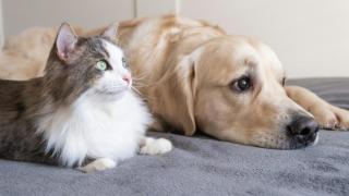 Представят новата книга на поета Борис Христов