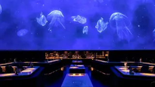 Храна и шоу: Кои са най-популярните места, където може да се насладите на подобно преживяване?