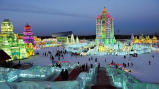 Дом на киното отдава почит на Роб Райнър през януари