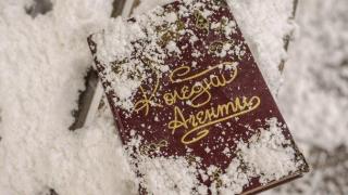 HAUSER ще премахне жанровите граници с Каролайн Кембъл и Анджелика Джизмондо в София