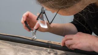 Почина жената, спрягана за тайна дъщеря на Фреди Меркюри