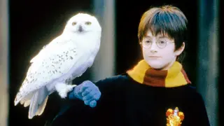 Кристен Бел ще води церемонията на наградите на Гилдията на актьорите