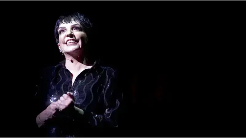 Лайза Минели е част от първия музикален албум, създаден изцяло чрез AI