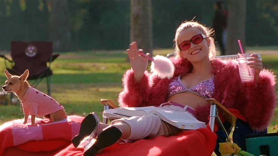 Подновиха сериала, вдъхновен от „Професия блондинка“,  за втори сезон