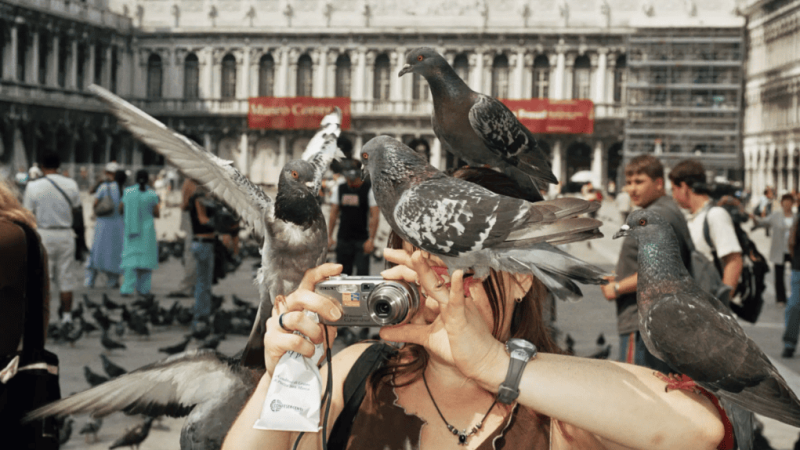 Париж отдава почит на фотографа Мартин Пар с изложба