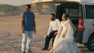 „Евровизия 2026“ и морето от коментари, които предизвика