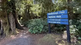 Обискират офиси на X  в Париж заради сигнали срещу алгоритъма на социалната мрежа