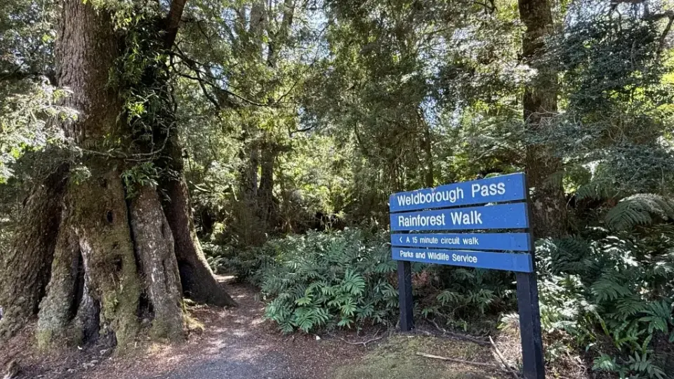 AI измами туристи, изпрати ги до несъществуващи горещи извори в Тасмания