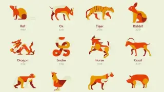 Какво издава китайският зодиак за характера ни?