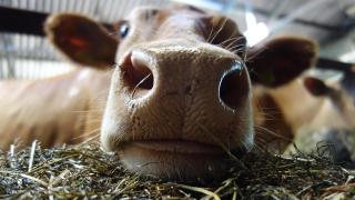 Радио излъчва отново легендарния концерт Live Aid по повод 40-годишнината му