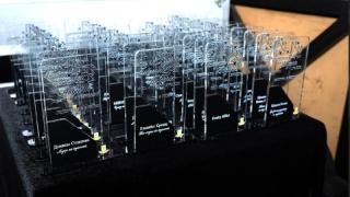 Сандра, дует Exposé и Димитър Туджаров – Шкумбата са сред отличените на Best of Bulgaria Awards 2026