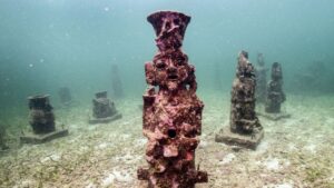 Първият подводен музей пази коралите със статуи на божества